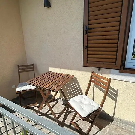 Vocation House Martin * Barci