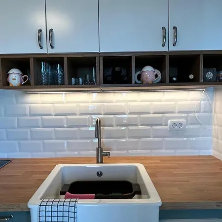 Vocation House Martin * Barci